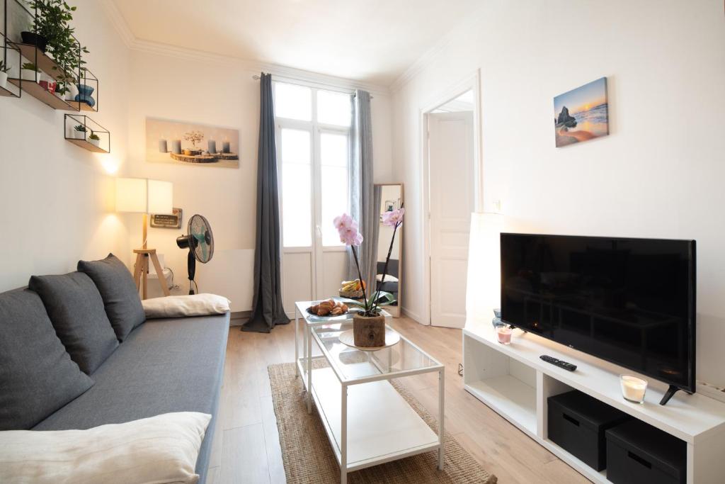 Private Independant flat - Lourdes city center - 2 Balconies - 3