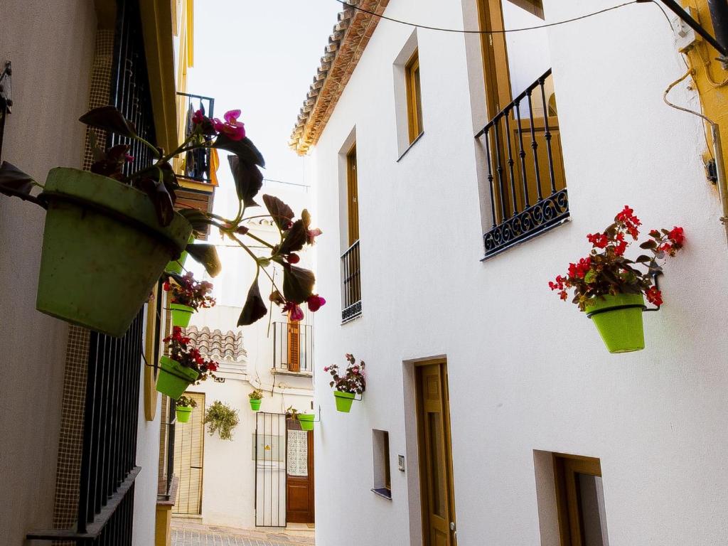 Calle Pintado 21 Bajo - 2
