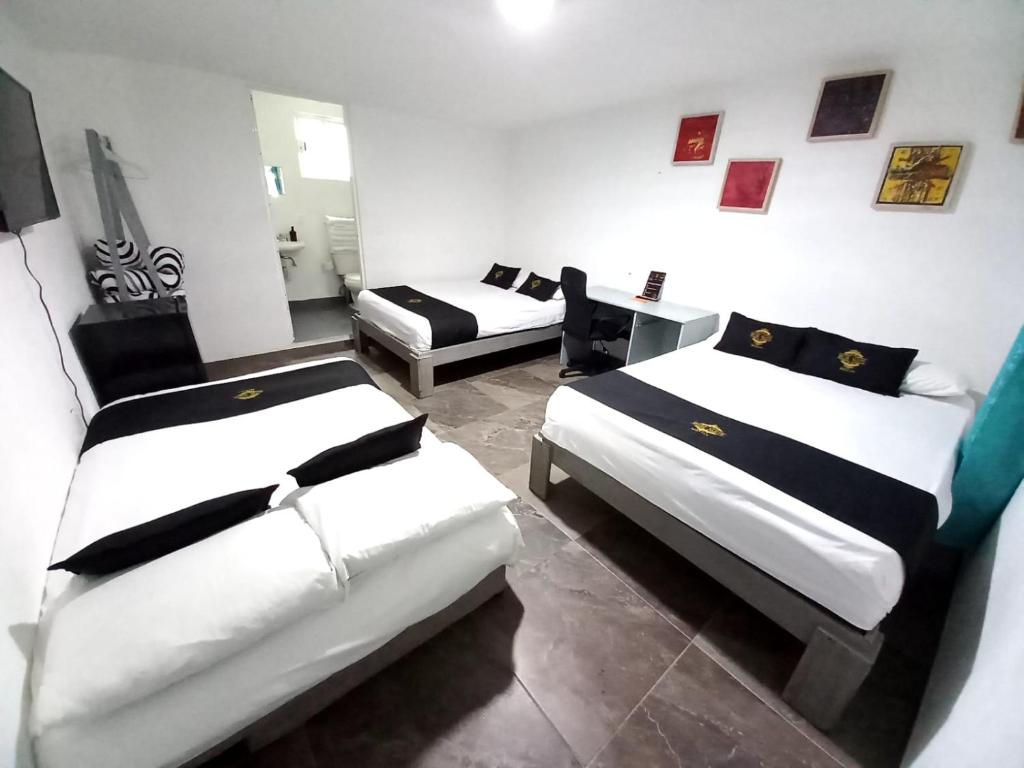 RCH Suite - 5