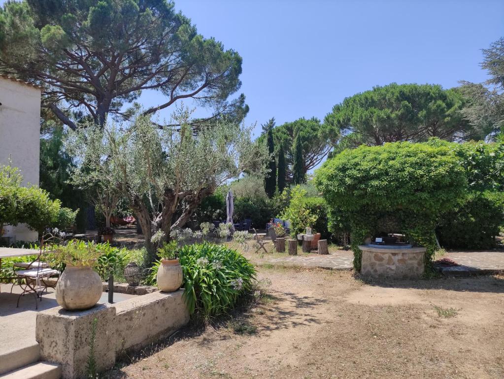 Les Térrasses de Saint-Tropez - 5