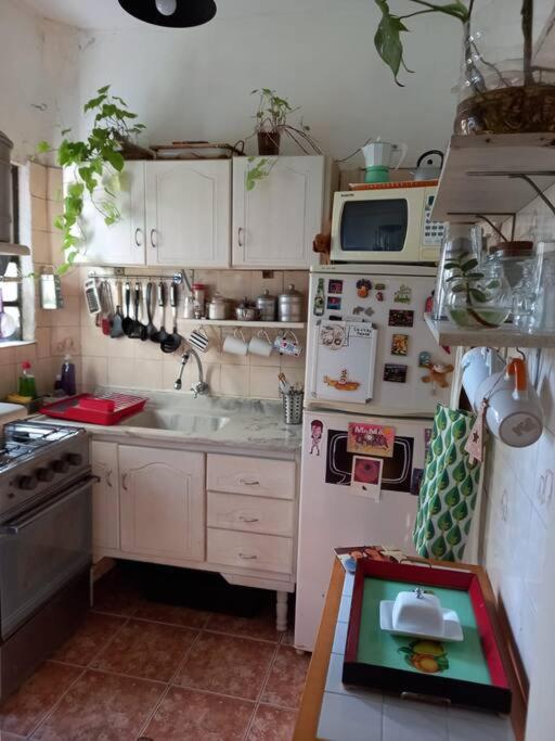 Cálido apartamento a 8 cuadras del mar y a 3 de 18 Julio Estarán acompañados por una gatita que vive alli - 5