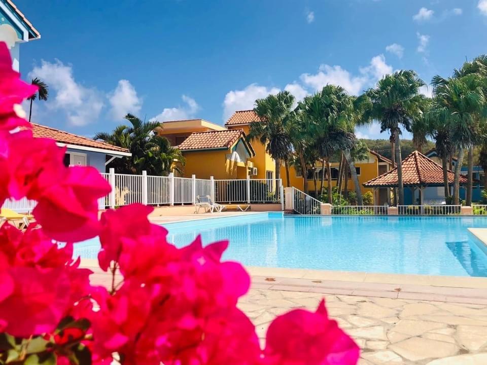 Hamo Cosy, Sainte-Anne