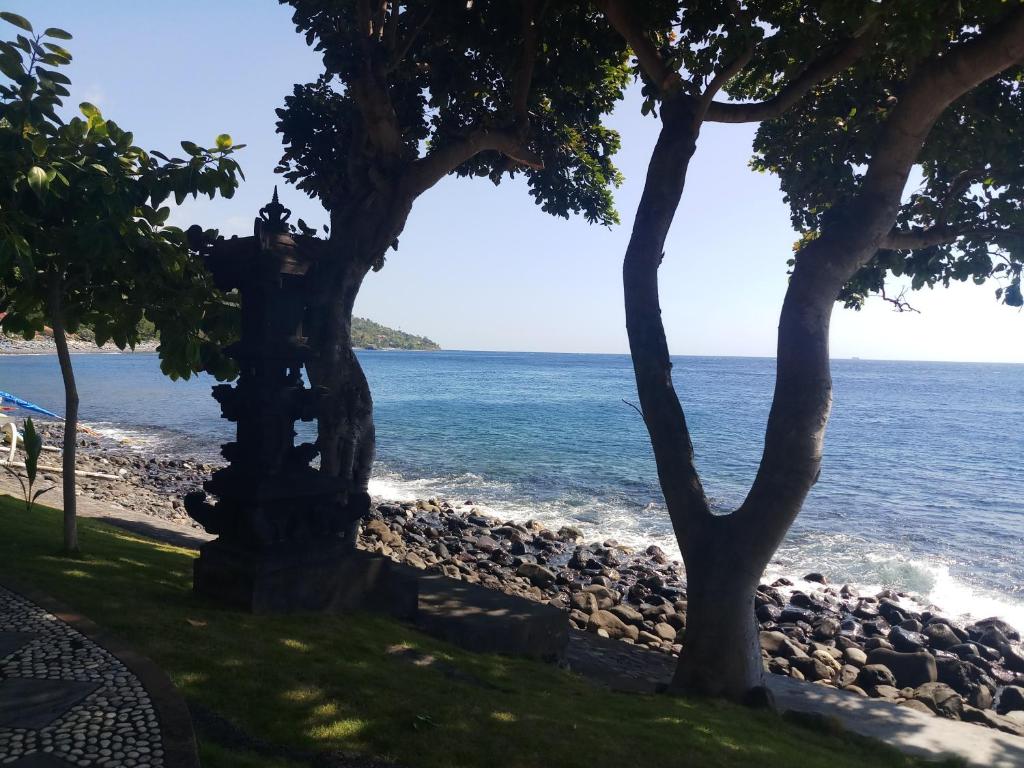 Amed Santorini Villa photo