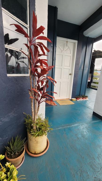 Havilah House Baguio City photo