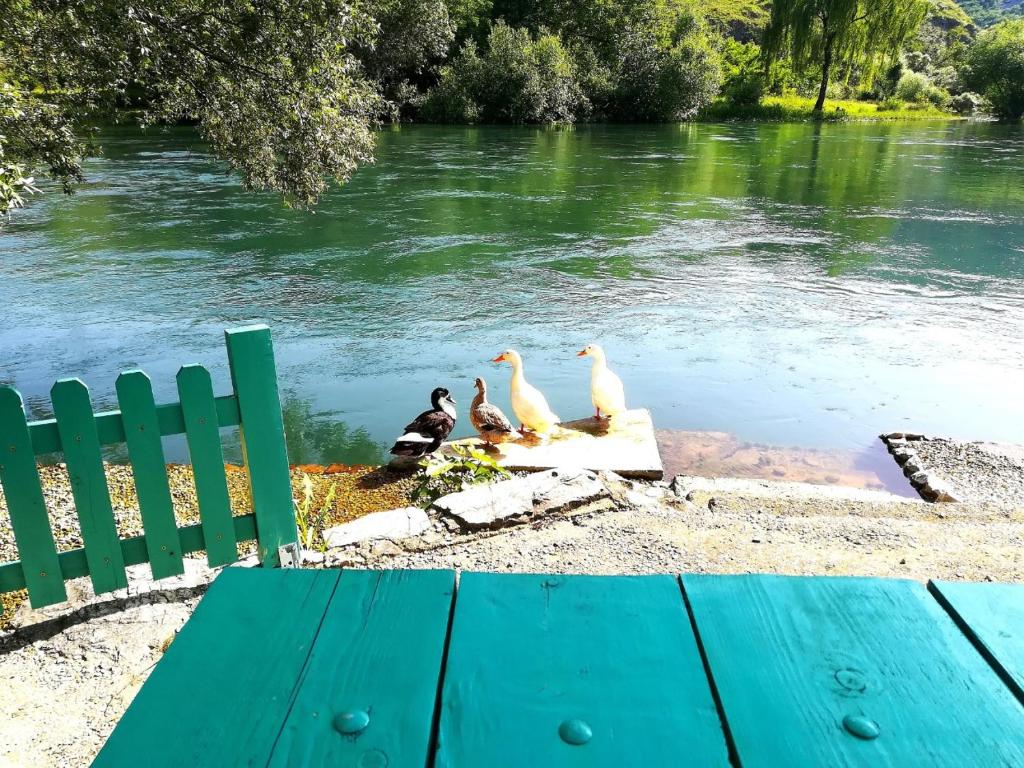 Riverside Buna - Mostar - 3