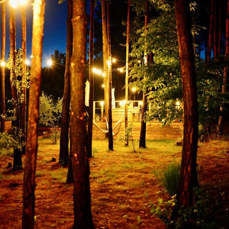 MY TREE HOME Warszawa, Macierowe Bagno photo
