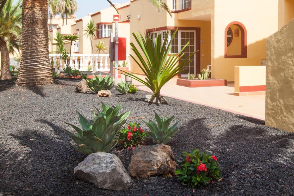 Maxorata Beach — Hotel building in Corralejo, Canary Islands