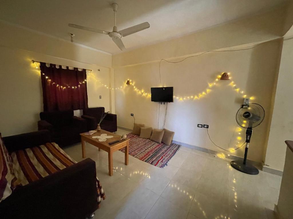 Apartments in Dahab, Egypt price from 10, reviews of Hotels
