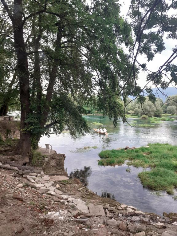 Apartman Dalal - with access to river Una - 5