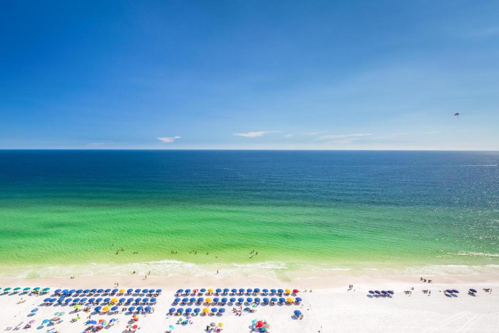 Pelican Beach Resort 2010 photo