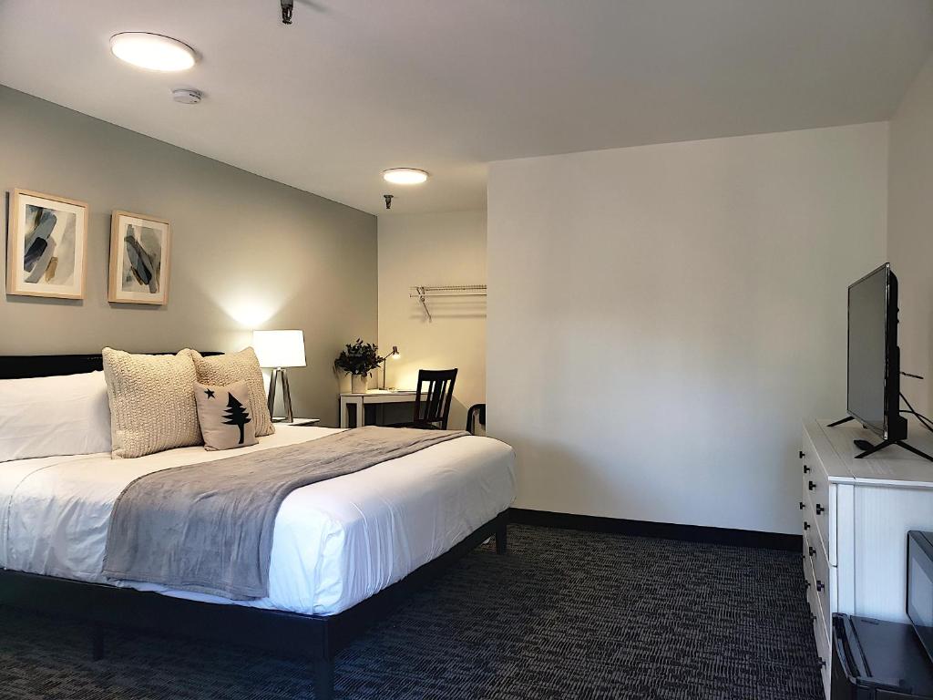 Main Street Motel photo