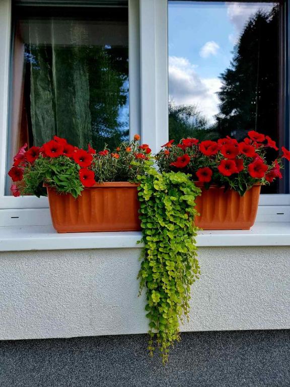 Haus Bierherr - 2