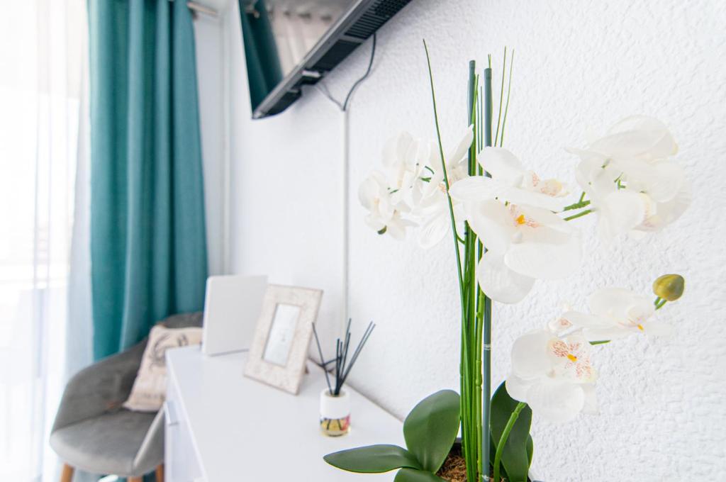 Cosy Studio in Playa de Las Americas PH10 - 4