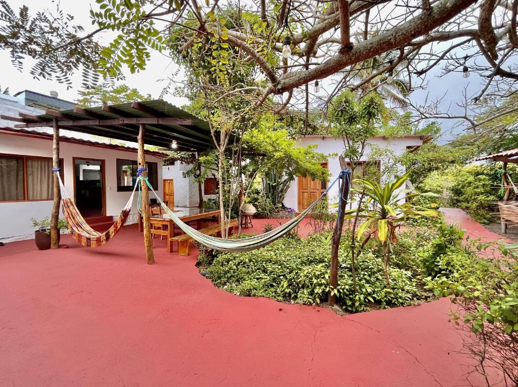 Garden, Hostal Vista al Mar in Galapagos