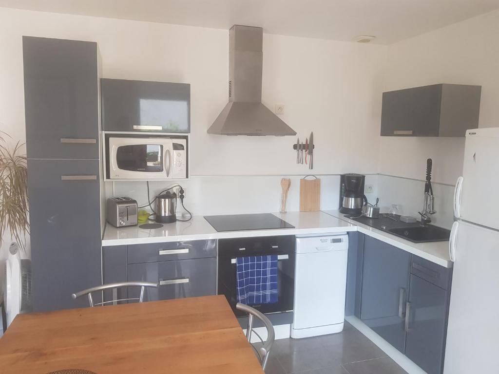 Joli appartement 50 m2 classé 3 etoiles avec terrasse et jardin - 4