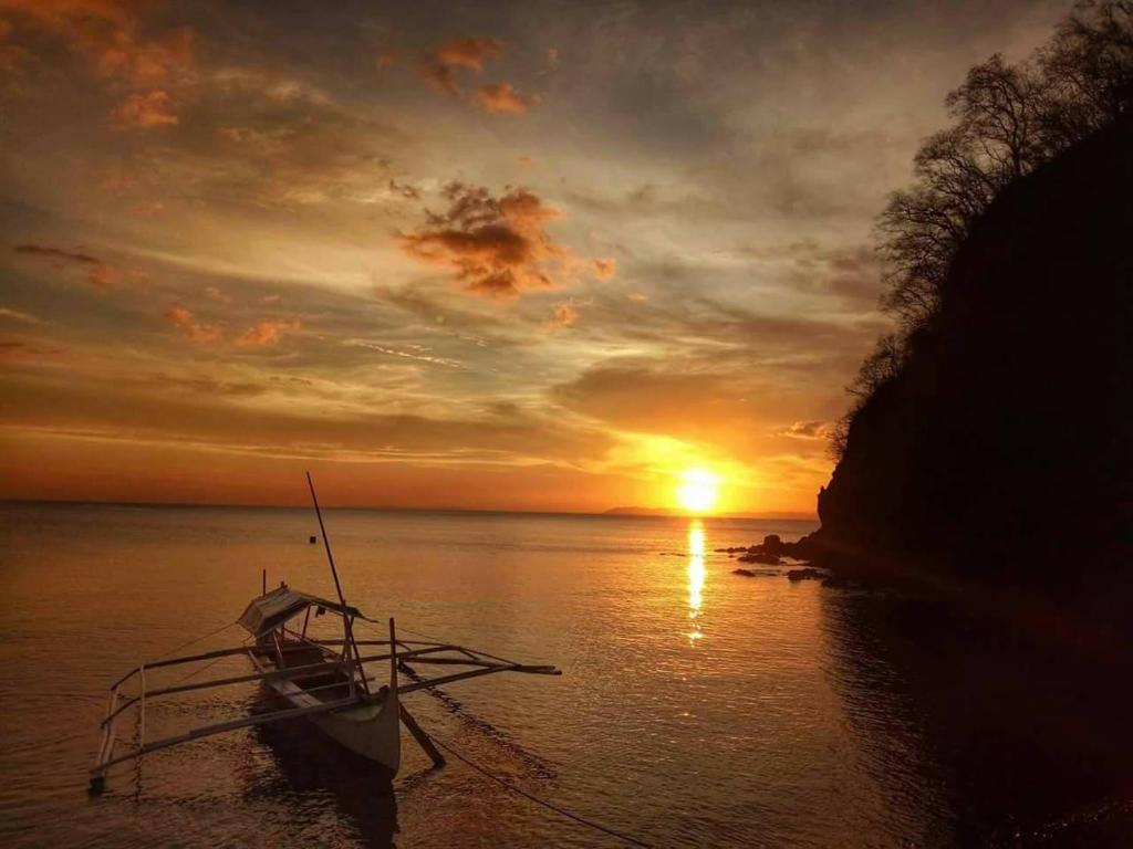 Cove 88 Dive Resort photo
