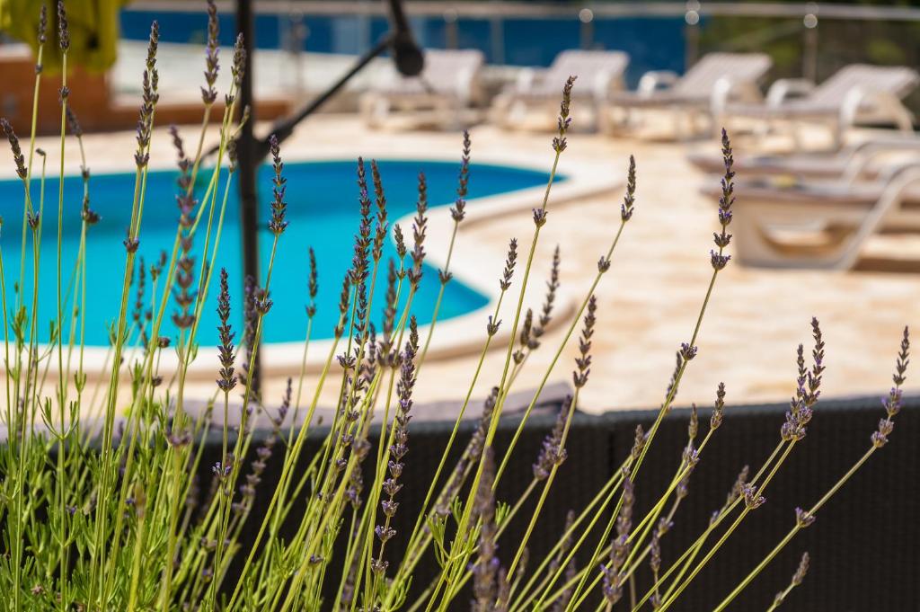 Villa Milina Korcula photo