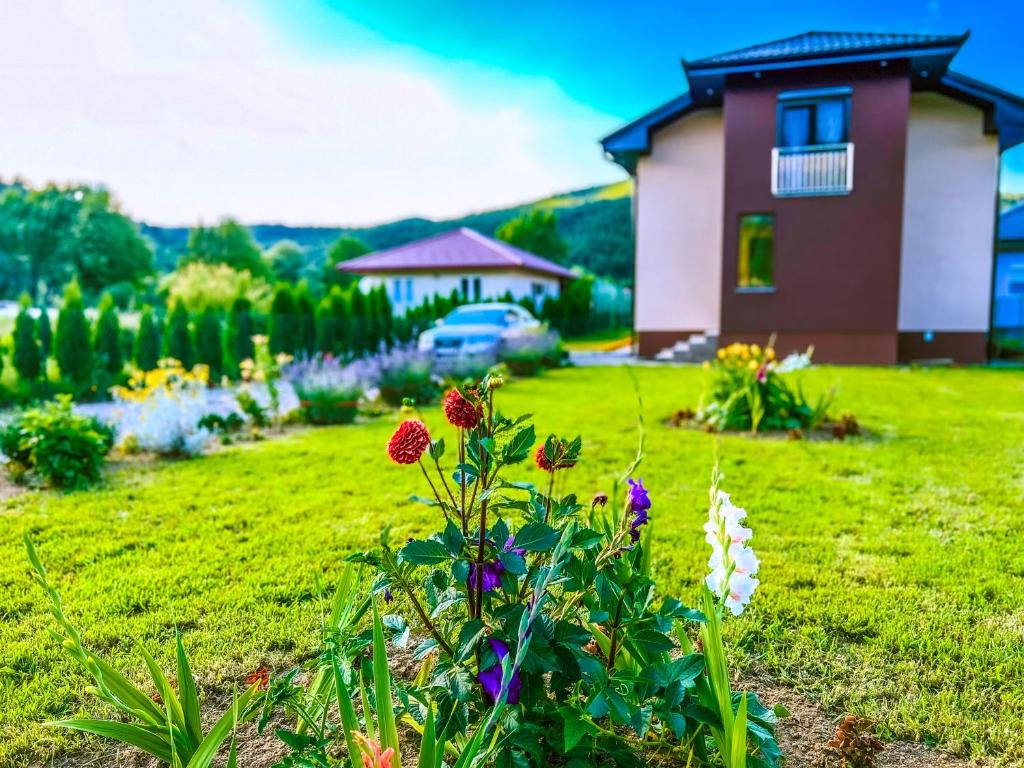 Daman Villa - 4