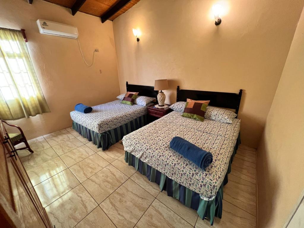 Shirvan Holiday Apartments One Bedroom — Hotel in Buccoo