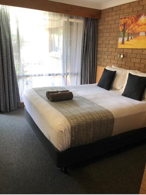 Muswellbrook Motor Inn