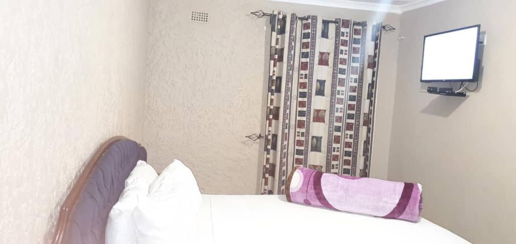 The Graceland Guesthouse photo