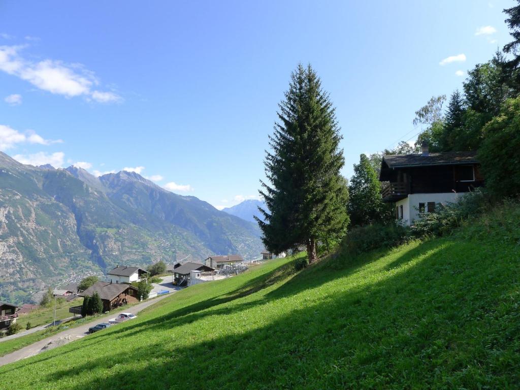Holiday Home Chalet Ninette by Interhome photo