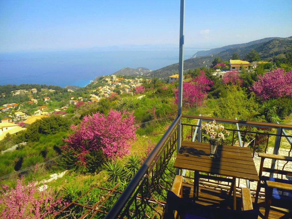 Villa Matula photo