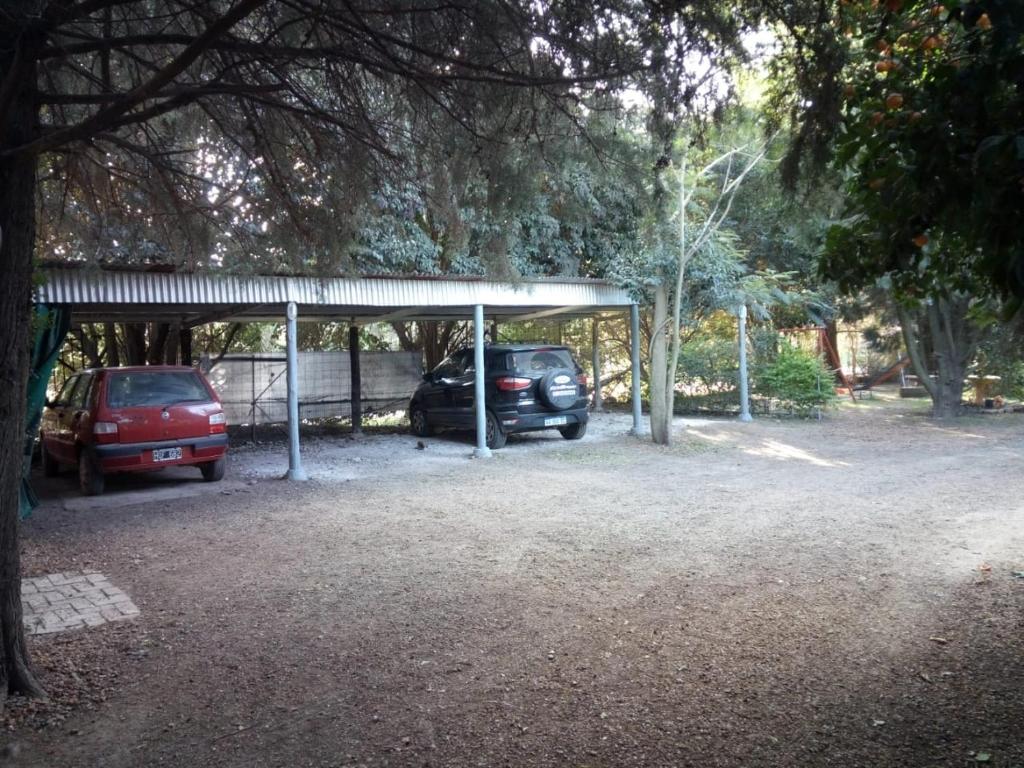 Las Casuarinas II - 3