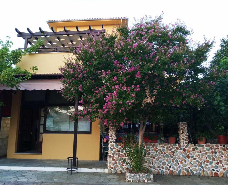 Vasileiou — Hotel in Kala Nera