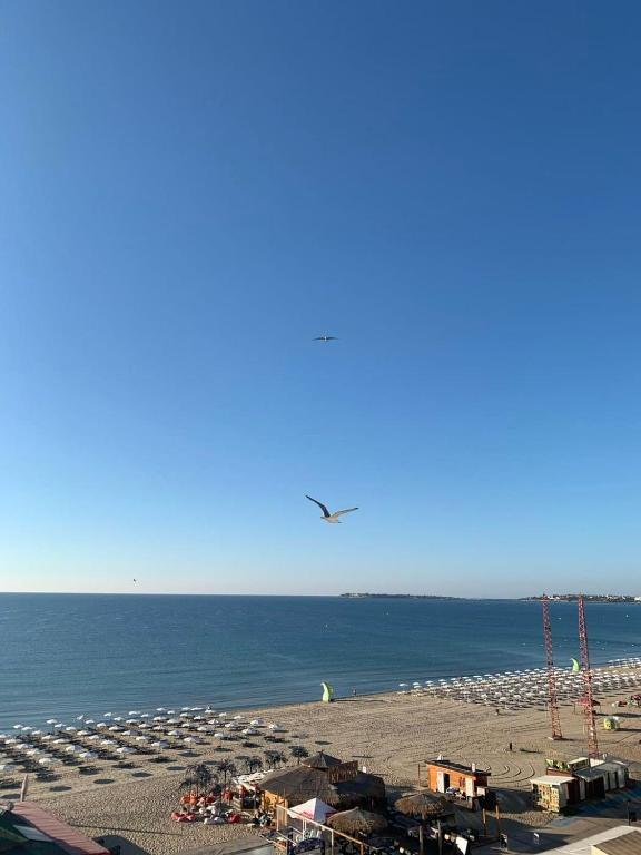 Hotel Glarus Beach& Aqua Park — Beach in Sunny Beach, Burgas Region