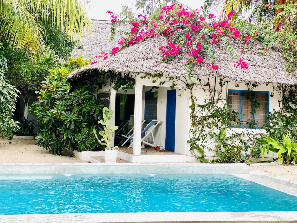 Badolina Bungalows — Hotel in Zanzibar