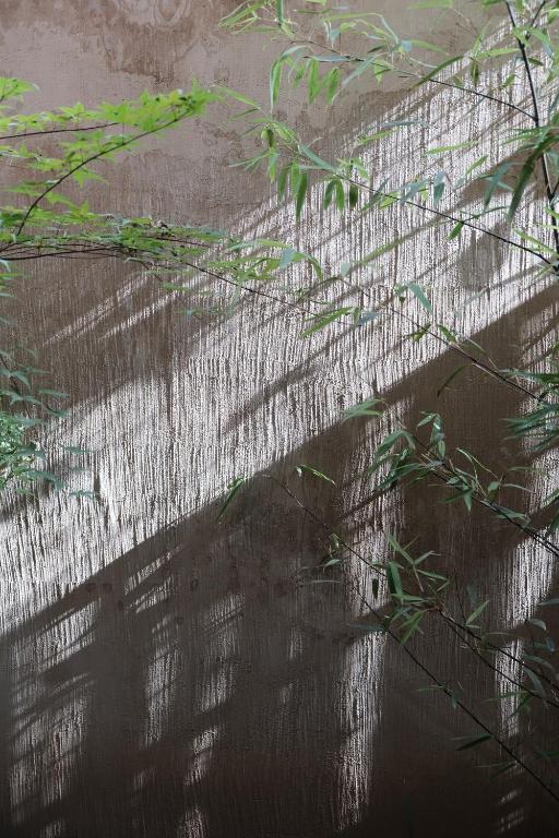 Surrounding environment