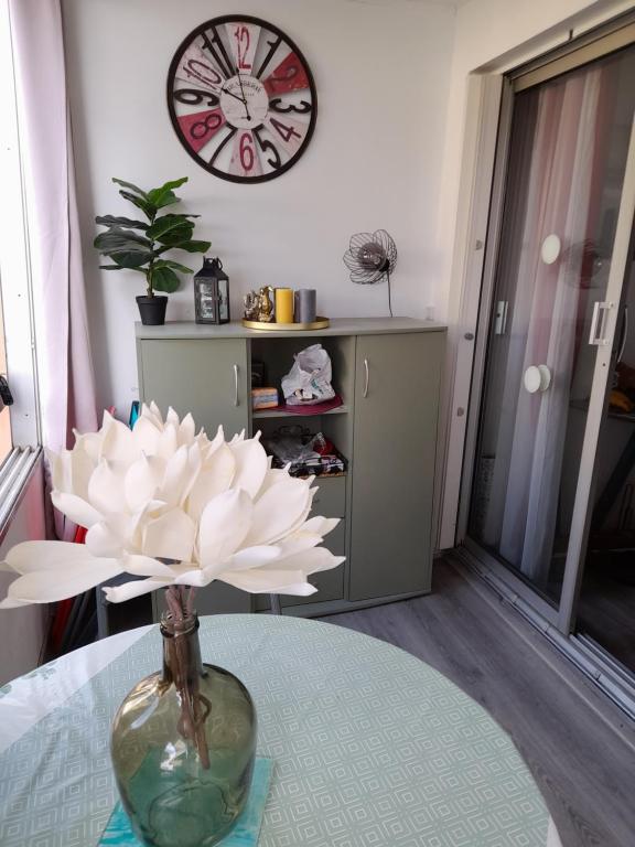 Studio cabine avec loggia - 1