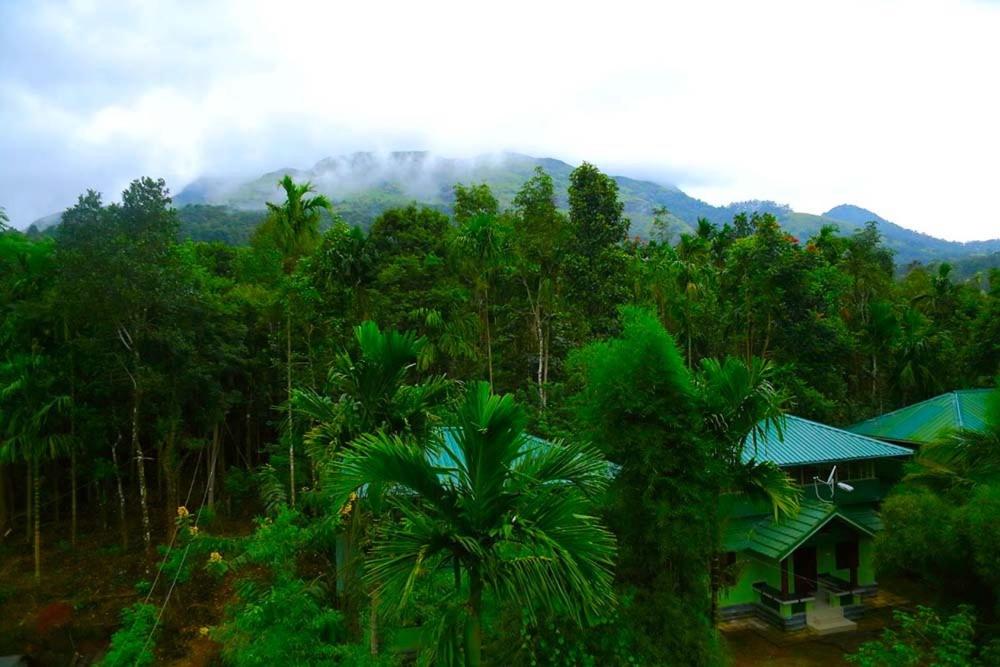 Shibi's Tea Garden Heritage — Hotel in Wayanad