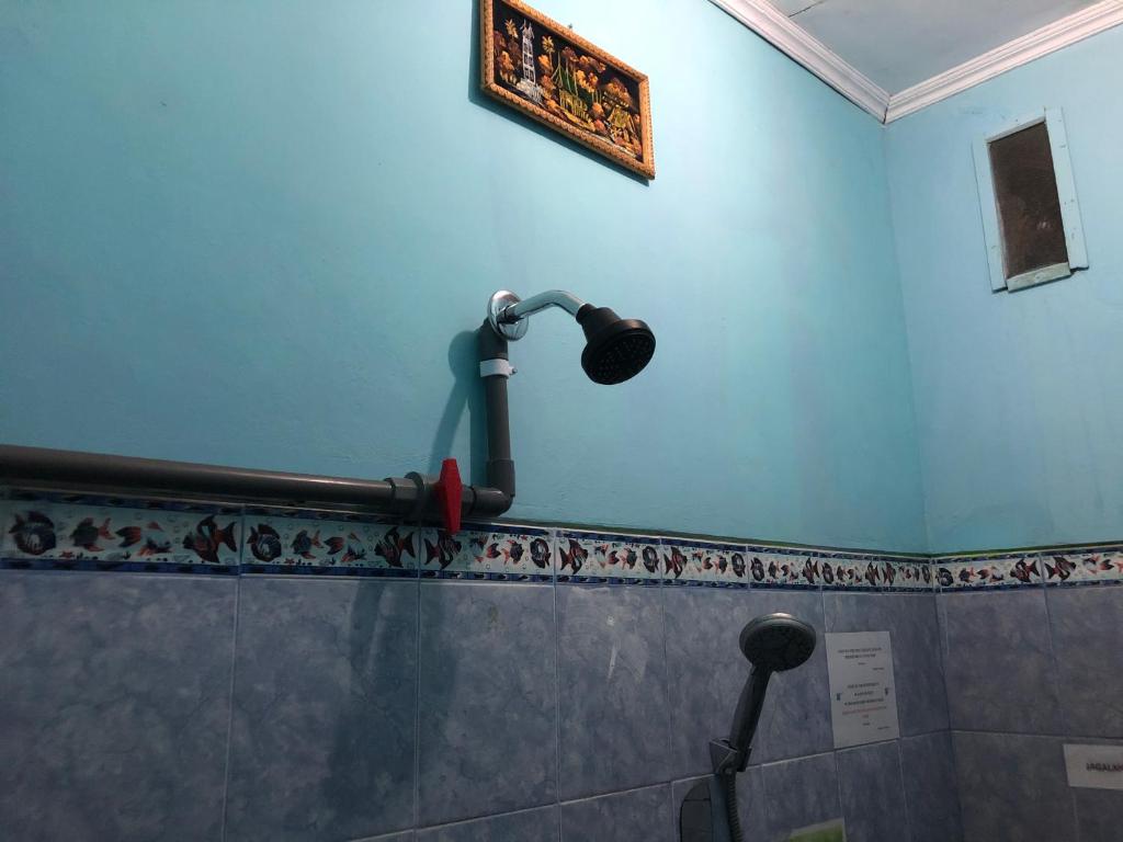 Padang Homestay photo