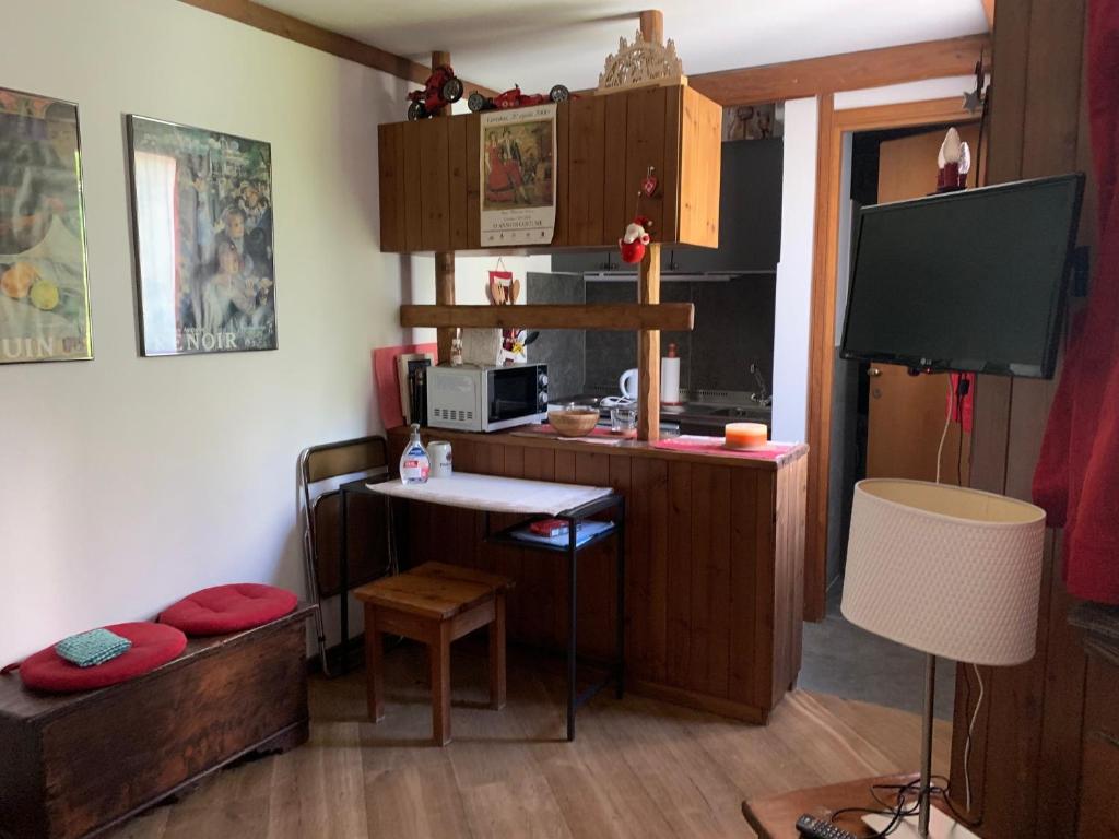renovated studio ski in ski out, CIR 1255 - 2