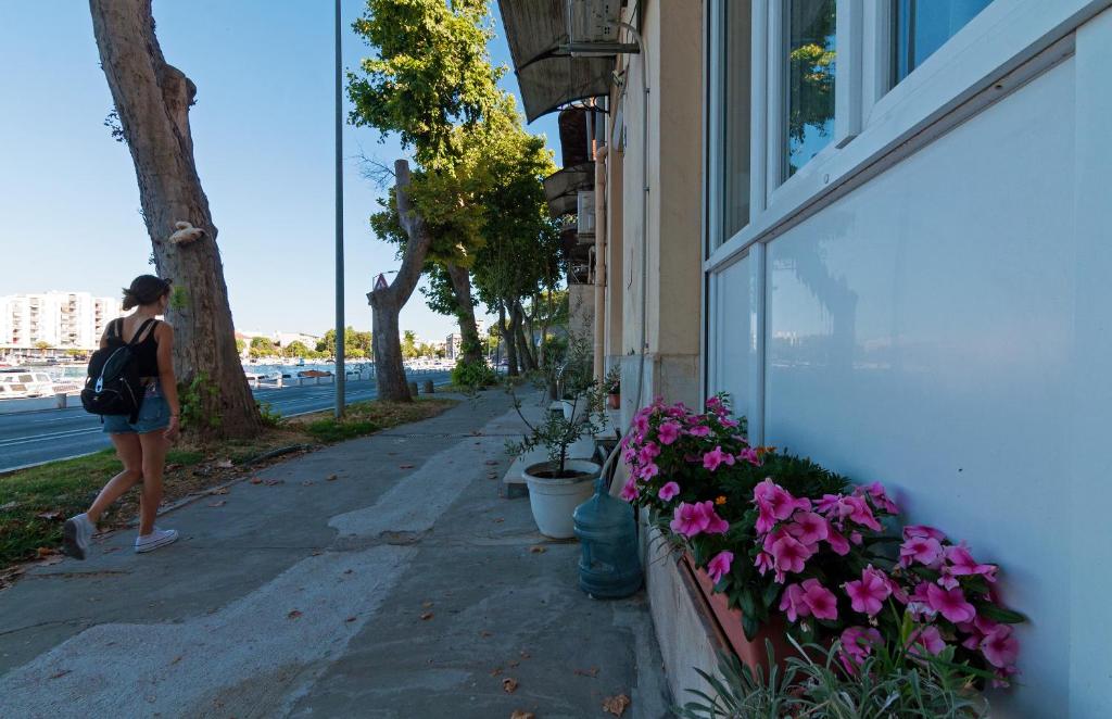 Apartman Pegla, Zadar