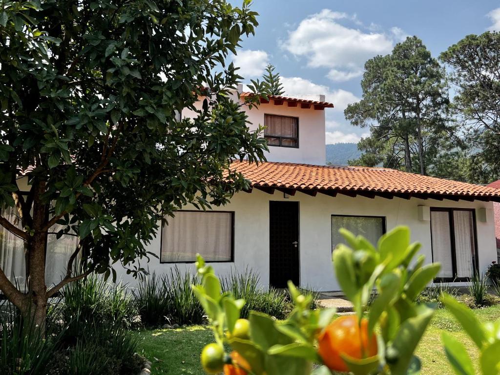 Casa Lunah Avandaro - 1