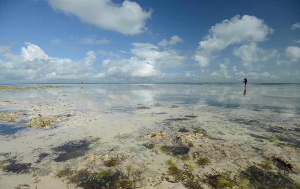 AFYA Village at the sea photo