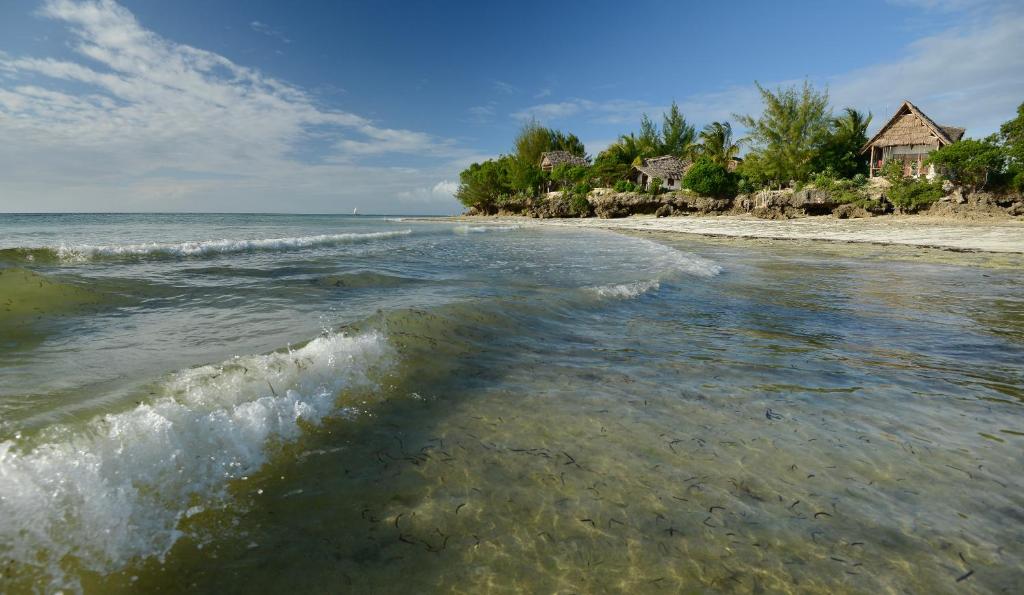 AFYA Village at the sea photo