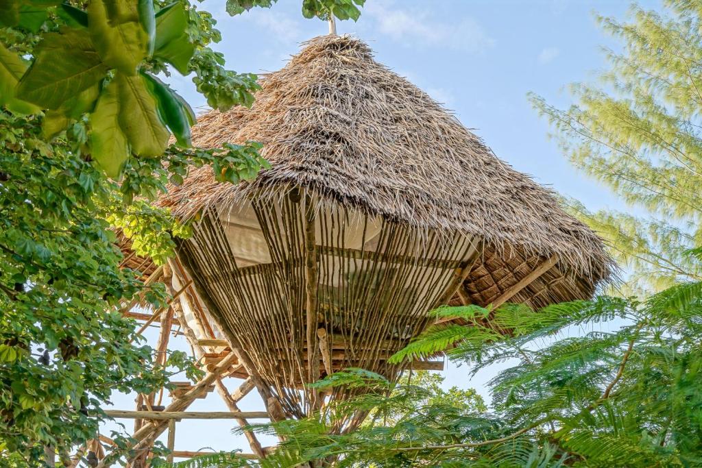 AFYA Village at the sea photo