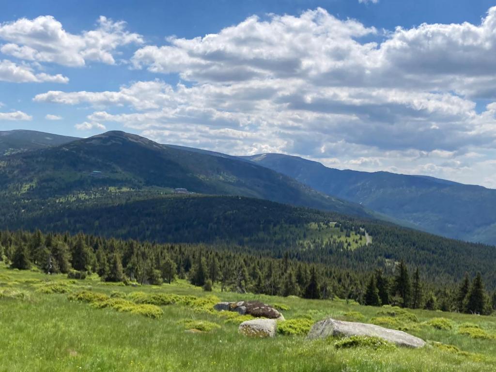 Surrounding environment