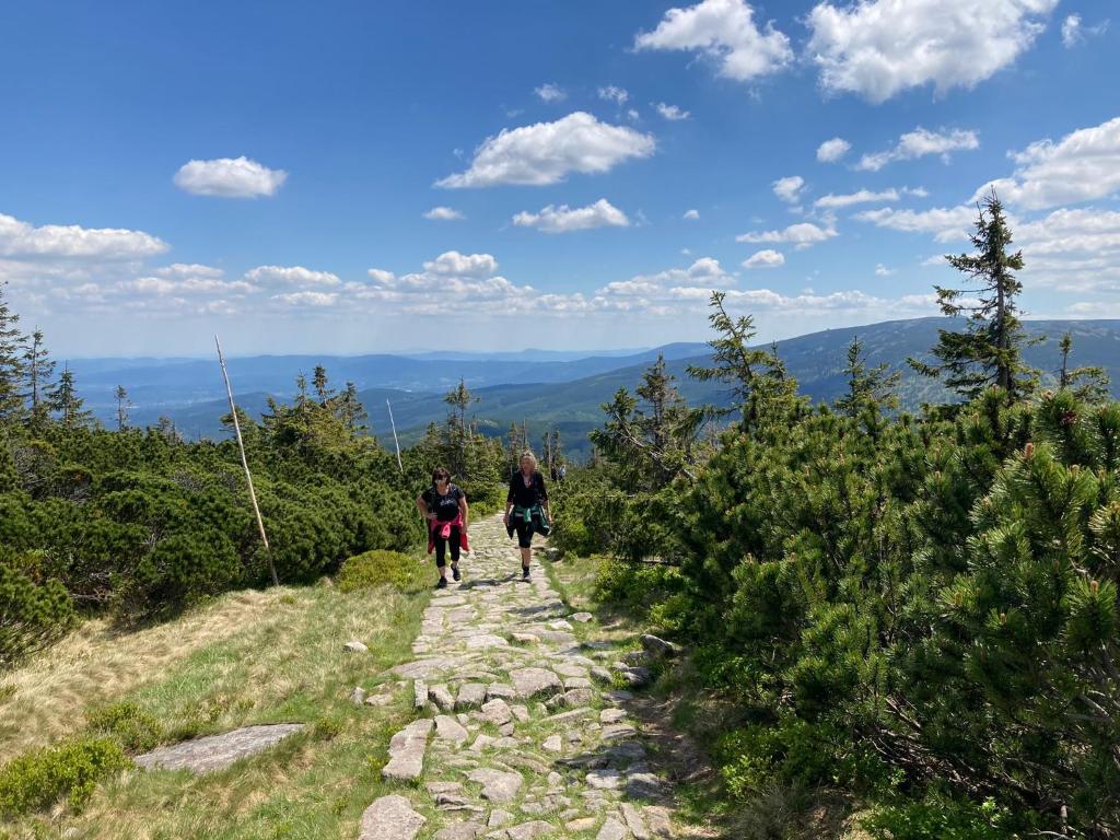 Sports and activities