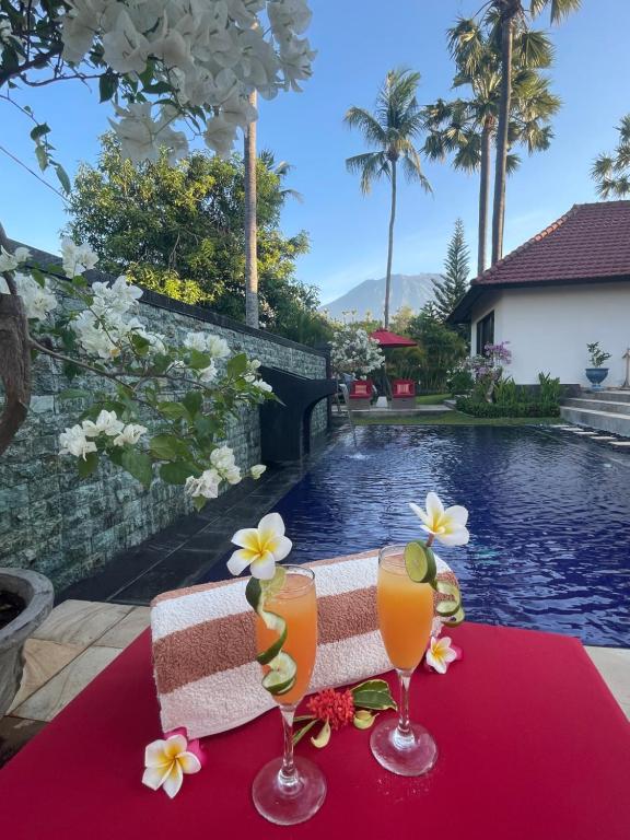 Serene 2 BR Villa Private Pool in Top Diving Area, Kubu