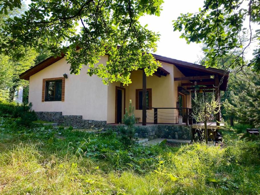3 Bedroom House In The National Park of Dilijan — Hotel in Dilijan