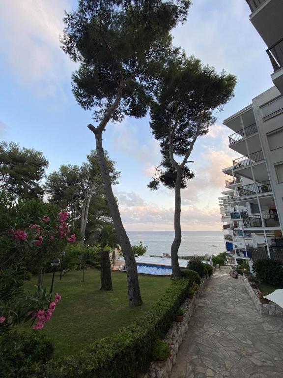 For a Stay Sant Jordi - 5