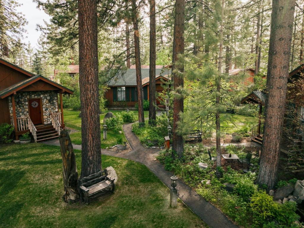 Black Bear Lodge photo