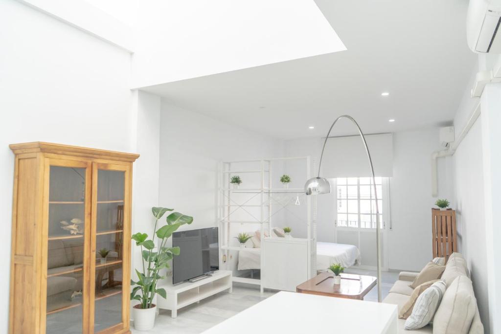 LOFT SÚPER LUMINOSO EN EL CENTRO DEL PUERTO DE SANTA MARÍA. - 1