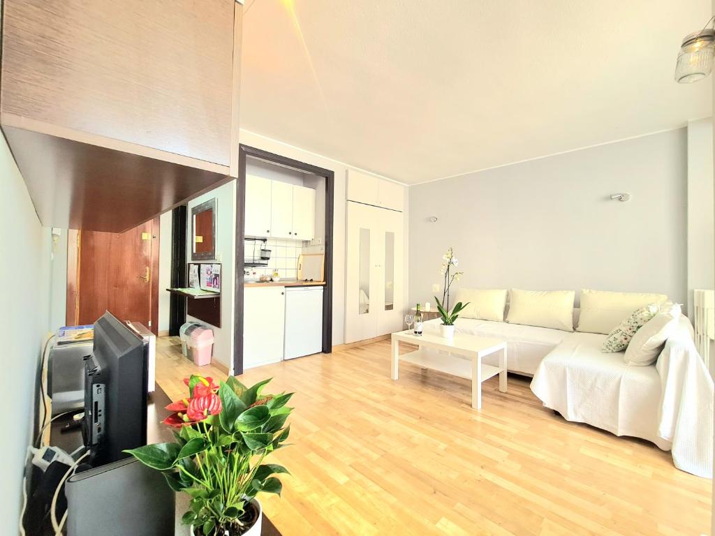 AA Guest - El Mono de Torre del Mar Eco Apartment - 2