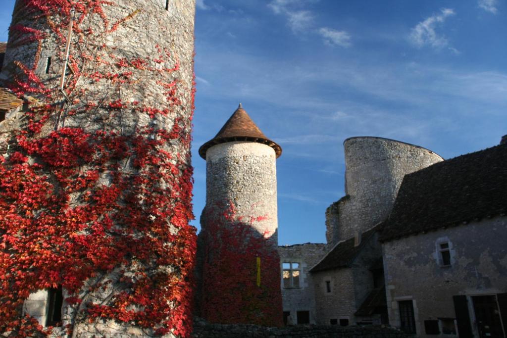 Chateau d'Ingrandes, Ingrandes